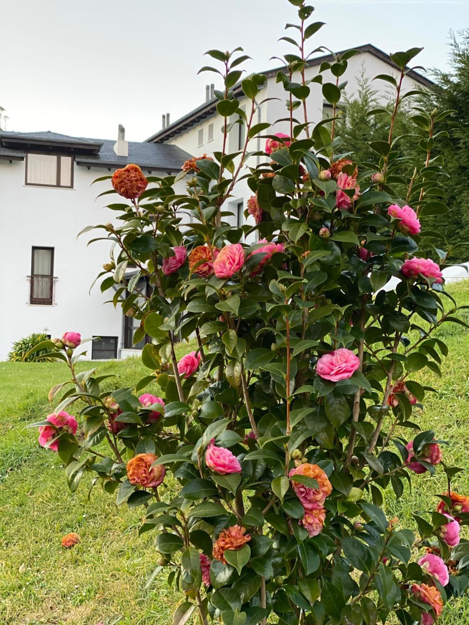 Finca Portizuelo Luarca Εξωτερικό φωτογραφία