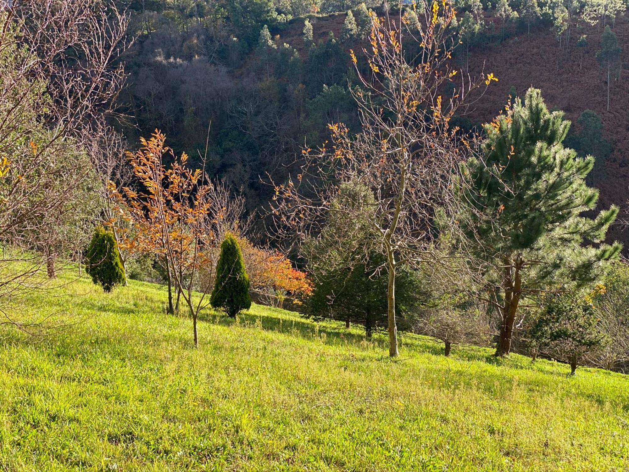 Finca Portizuelo Luarca Εξωτερικό φωτογραφία