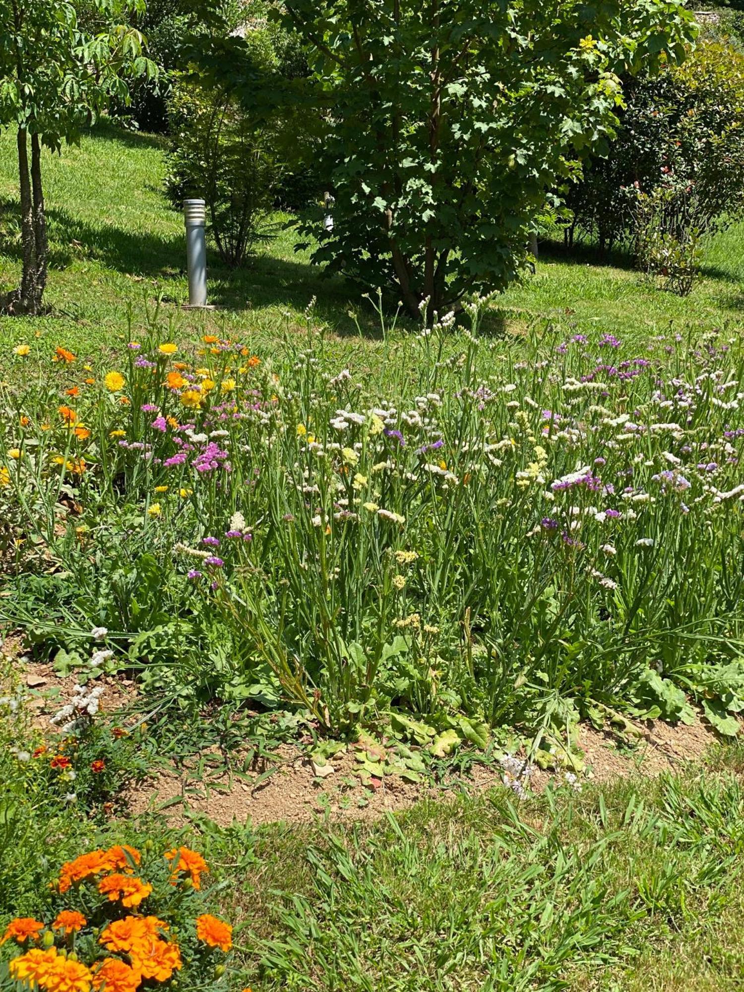 Finca Portizuelo Luarca Εξωτερικό φωτογραφία