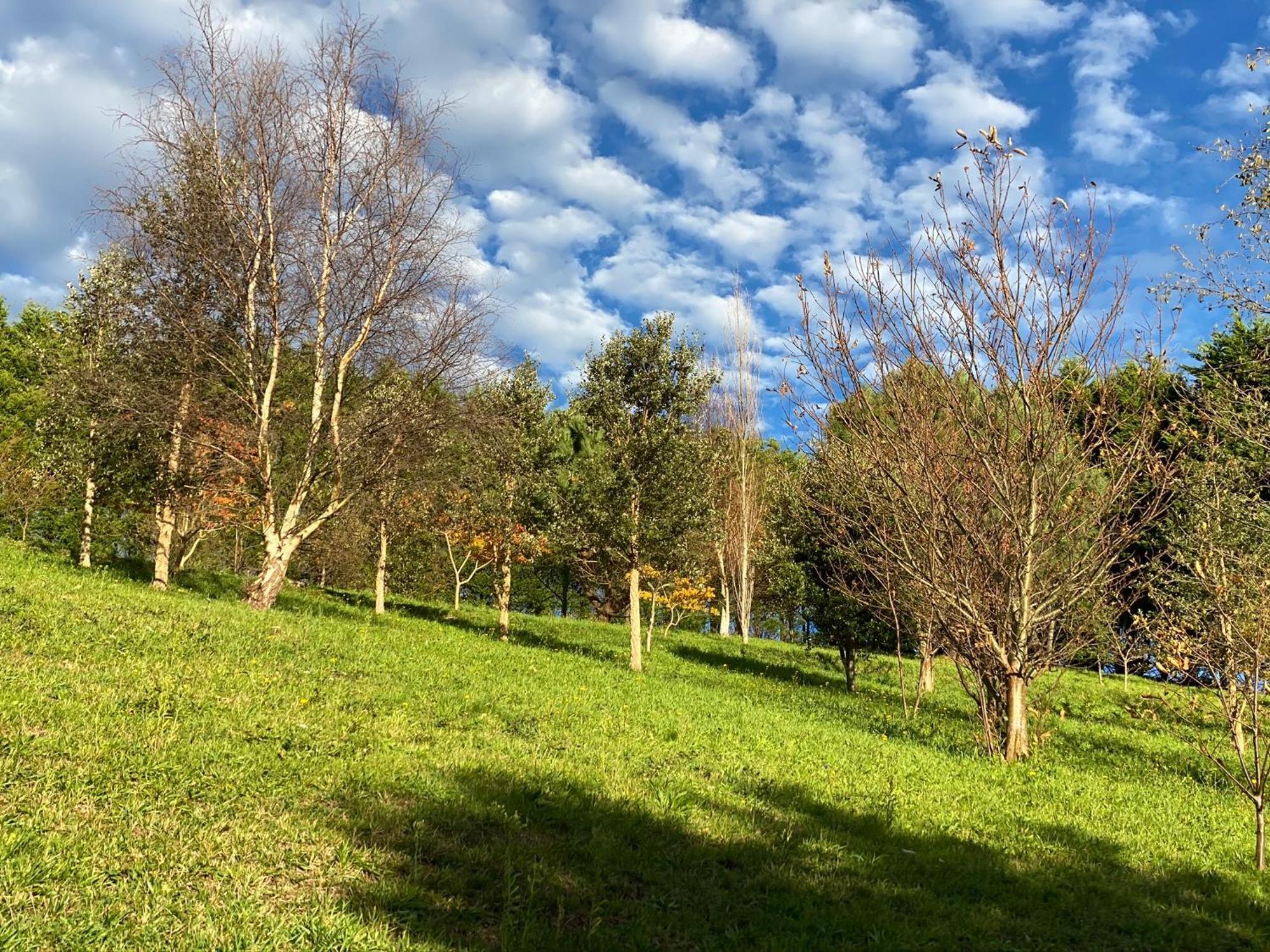 Finca Portizuelo Luarca Εξωτερικό φωτογραφία