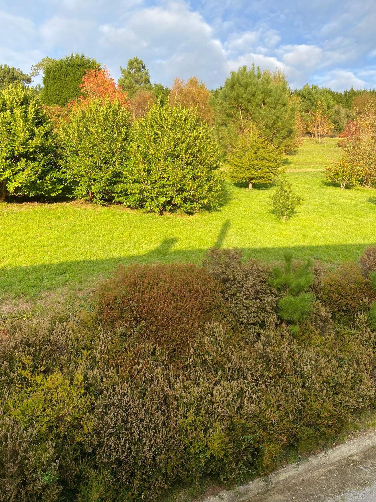 Finca Portizuelo Luarca Εξωτερικό φωτογραφία