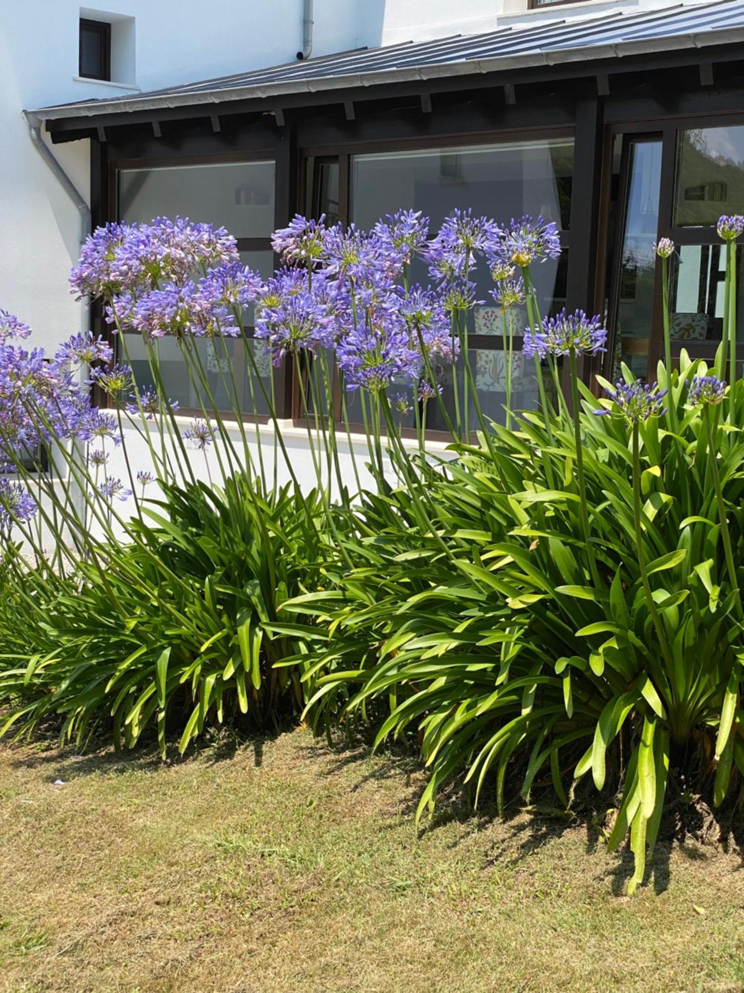Finca Portizuelo Luarca Εξωτερικό φωτογραφία