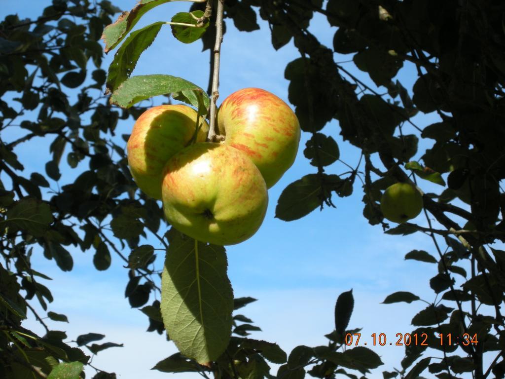Finca Portizuelo Luarca Εξωτερικό φωτογραφία